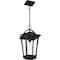 Quoizel Darius Outdoor Hanging Lantern DRS1911EK - alternate 3